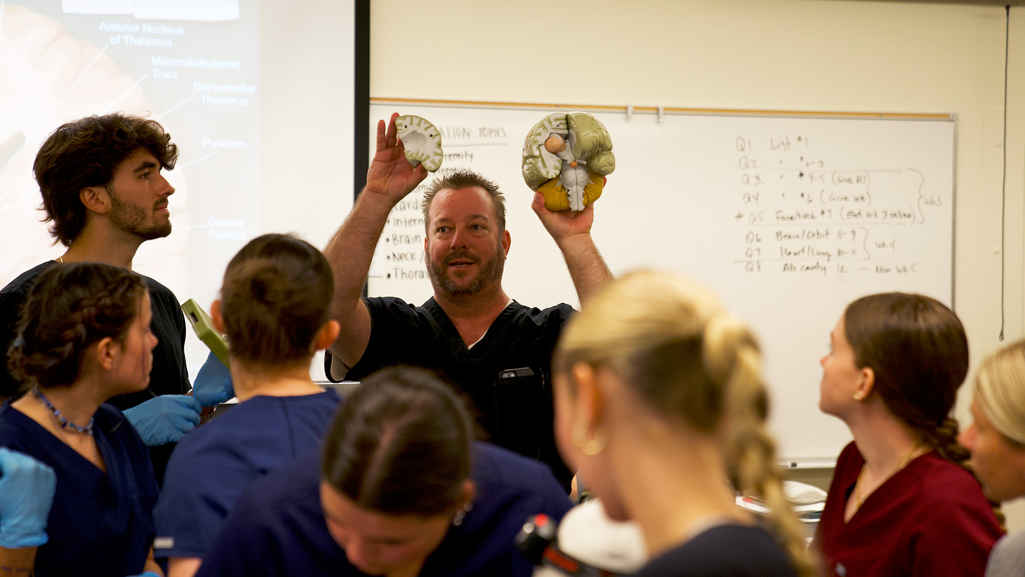 An instructor holds two anatomical brain models while teaching a classroom of students in scrubs and gloves, with a whiteboard and anatomical diagrams visible in the background during a hands-on biology or medical lesson.