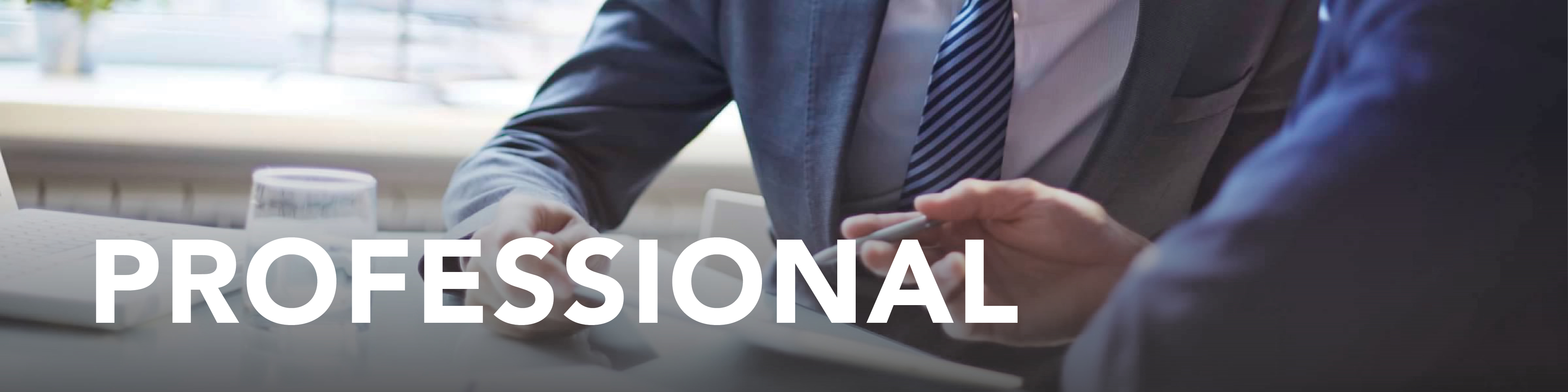 professional programs header image