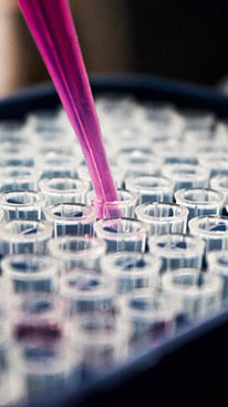 Biology and medicine at Cal Poly